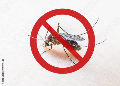 World malaria day with no mosquito sign for prevention of virus carrier insect spreading Aedes aegypti, yellow fever, dengue, chikungunya, Zika, Mayaro, Malaria, flavi epidemic disease