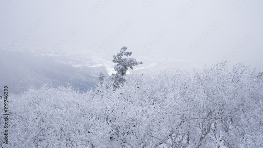 덕유산의 겨울 풍경 덕유산의 겨울 풍경