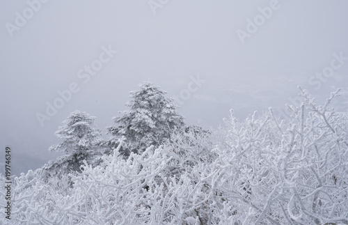 덕유산의 겨울 풍경