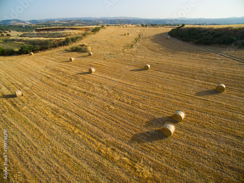 Canvas Print Aerial view of harvested golden wheatfield with hay bales in the countryside in