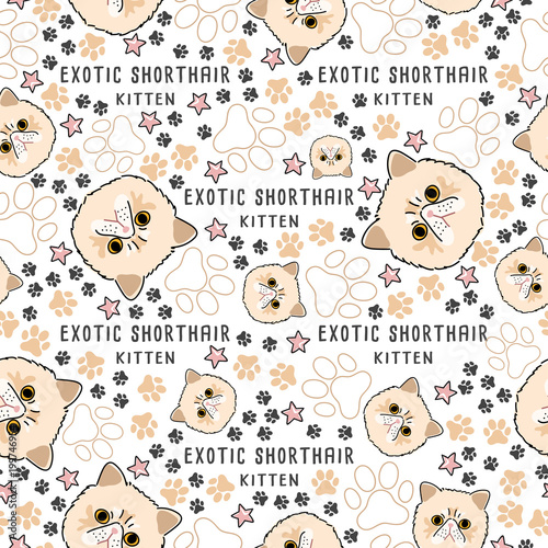 Foto Cat Breed Collection : Seamless Pattern : Vector Illustration