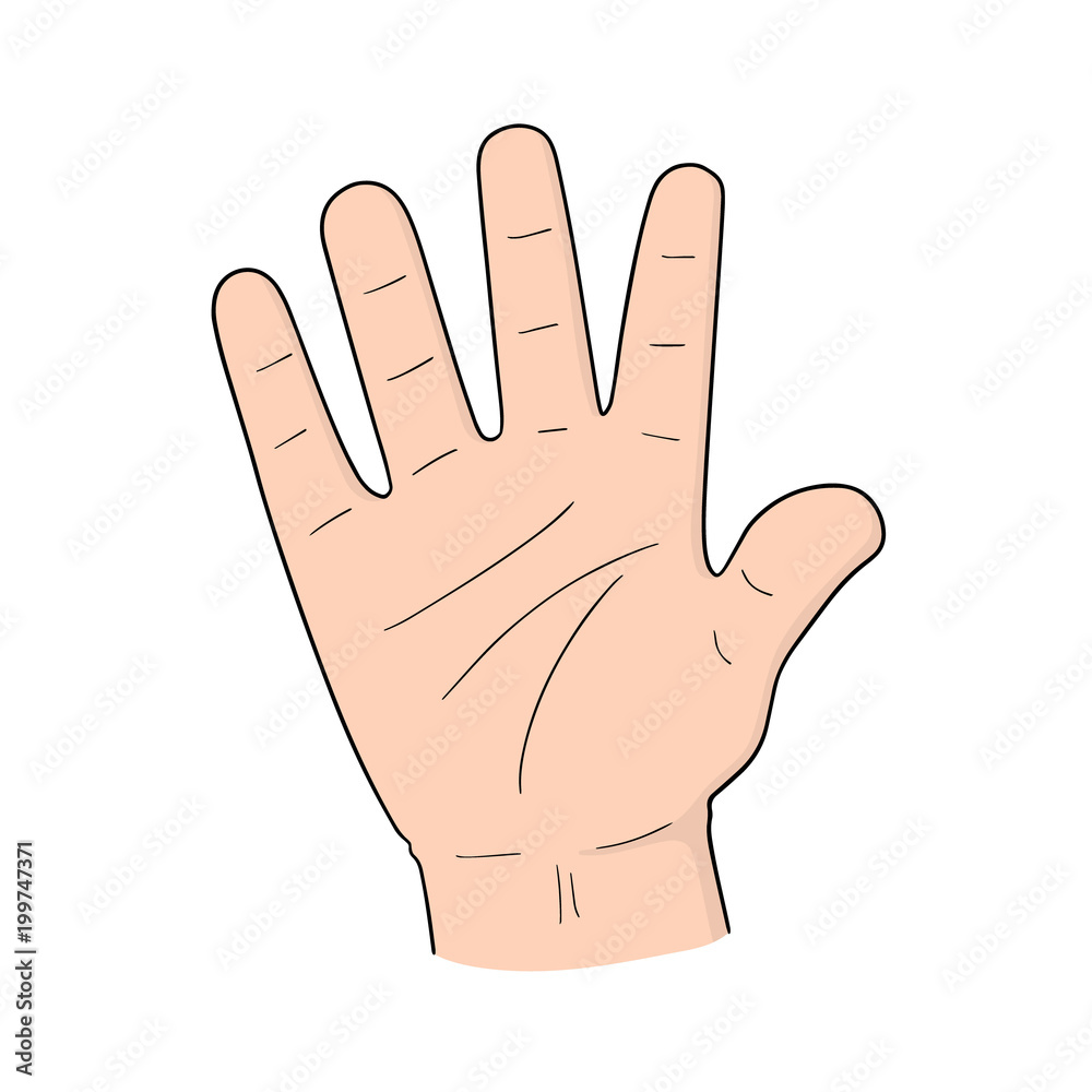 vector set of cartoon hand vector set of cartoon hand