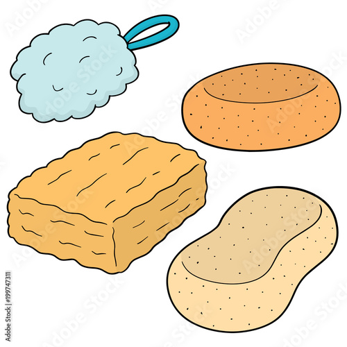 vector set of sponge