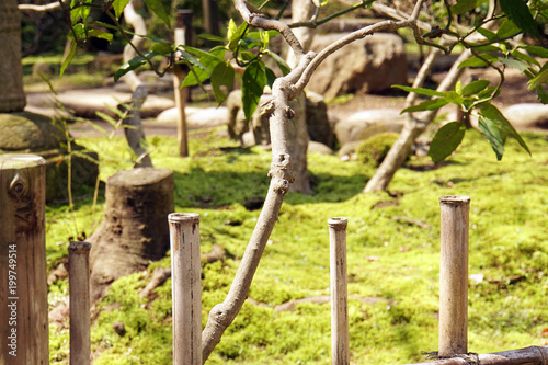 日本庭園