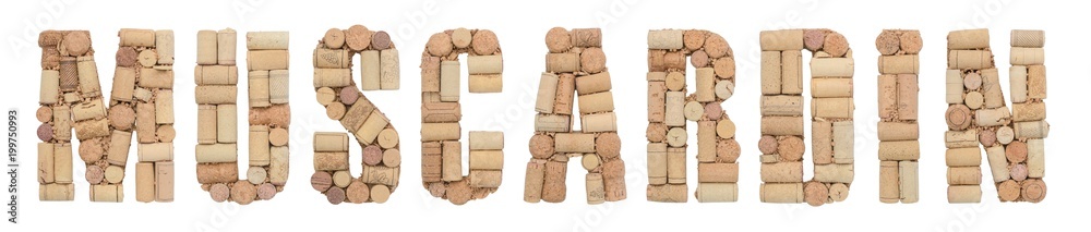 Grape variety Muscardin made of wine corks Isolated on white background