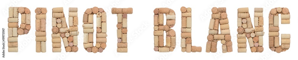 Grape variety Pinot blanc made of wine corks Isolated on white background