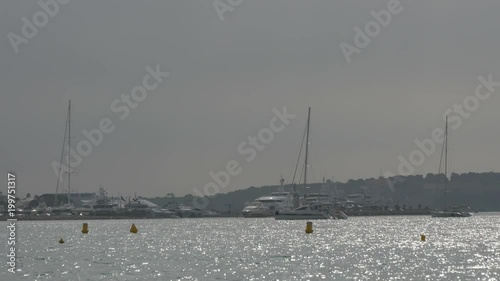 Yellow buoys floating near a port photo