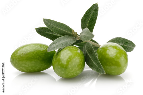 Wallpaper Mural Olive Torontodigital.ca