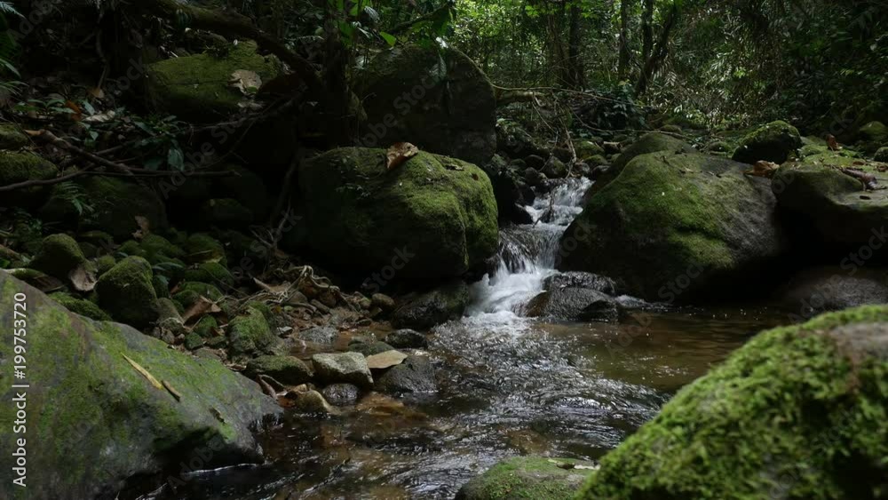 Stones and rocks covered by moss along water stream Stones and rocks covered by moss along water stream
