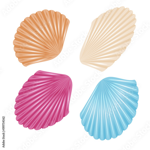 Sea shells on white background to decorate tourist posters, flyers, booklets, notebooks, websites.