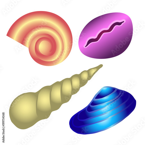 Seashells 2