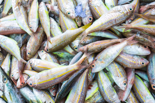 Fresh sea fish in traditional fishery market