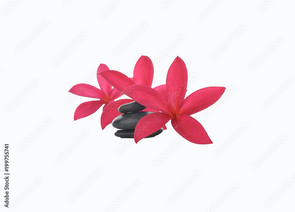 three red flower with spa stones three red flower with spa stones