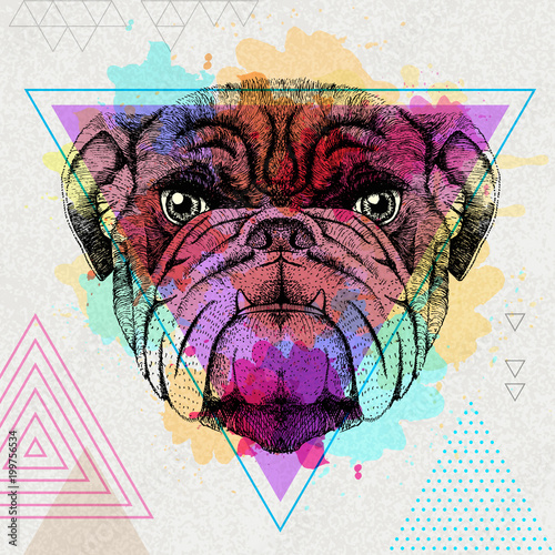 Hipster animal bulldog on artistic polygon watercolor background