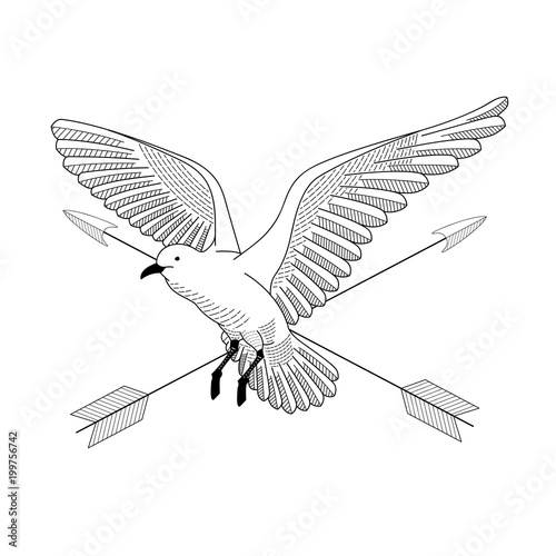 bird flying. illustration vector. hand drawing line art of animal. bird isolated line on white background. symbol of freedom. tattoo design. circle of life. with cross arrow.