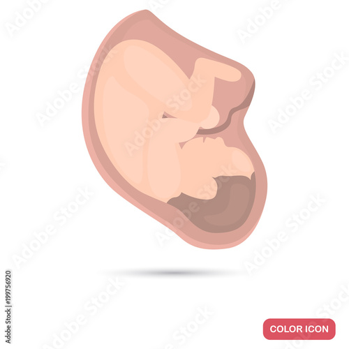 Baby in the womb of a woman color flat icon