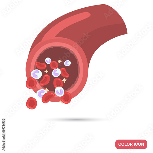 Blood composition in the vein color flat icon
