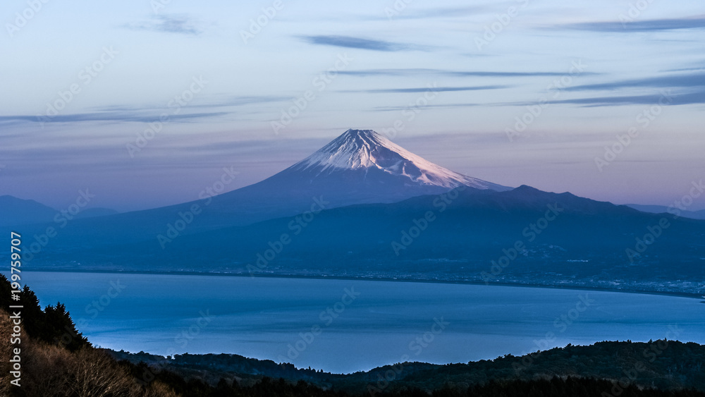 日本、世界遺産、富士山、冬、絶景、雪、感動の風景、伊豆、達磨山展望台