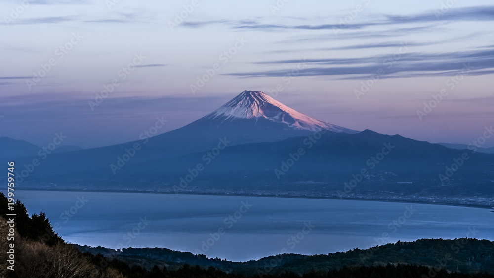 日本、世界遺産、富士山、冬、絶景、雪、感動の風景、伊豆、朝日、達磨山展望台