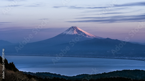日本、世界遺産、富士山、冬、絶景、雪、感動の風景、伊豆、朝日、達磨山展望台