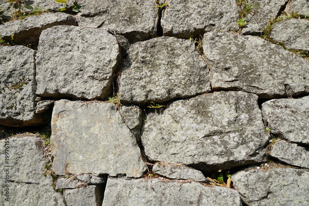 Obraz premium 石垣