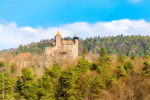 Castle Berwartstein in palatine forest