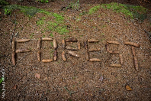 Human killing the forest. Word forest made by cone on the ground