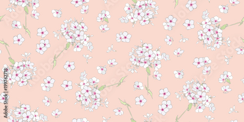  Phlox are sweet, pink in color. White garden flowers. Flower print. Flower postcard. 