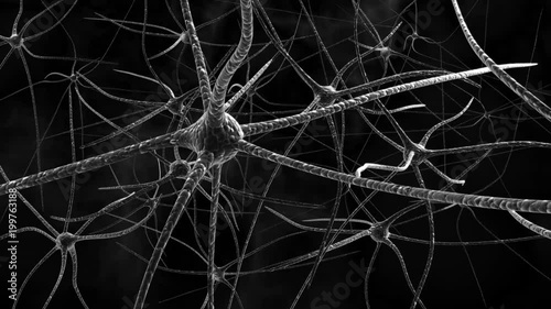 Neuron cell network inside the brain without electric impulses. 