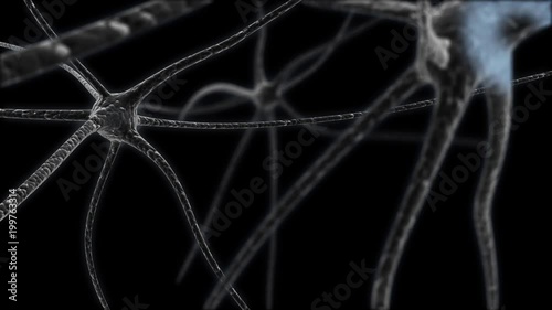 Neuron cell network inside the brain. with electric impulses, loop animation. 