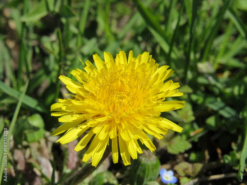 Gardens of the North Caucasus, the awakening of nature in the spring. Spring emotions.