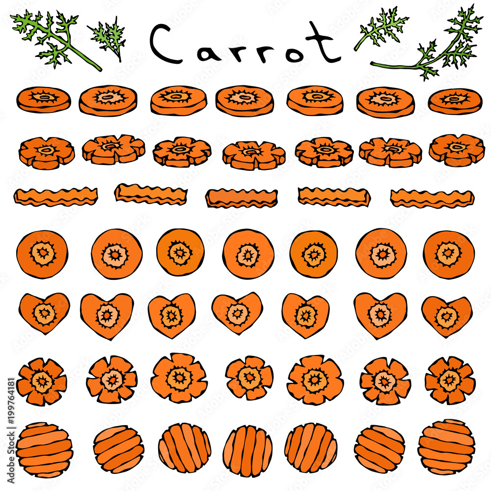 Set of Cuts and Slices of Carrot of Different Shapes Round, Flower, Heart, Wave. Ripe Vegetables. Vegetarian Cuisine. Salad Ingredient. Realistic Hand Drawn Illustration. Savoyar Doodle Style. Set of Cuts and Slices of Carrot of Different Shapes Round, Flower, Heart, Wave. Ripe Vegetables. Vegetarian Cuisine. Salad Ingredient. Realistic Hand Drawn Illustration. Savoyar Doodle Style.
