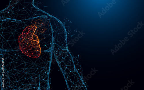 Fényképezés Human heart anatomy form lines and triangles, point connecting network on blue background
