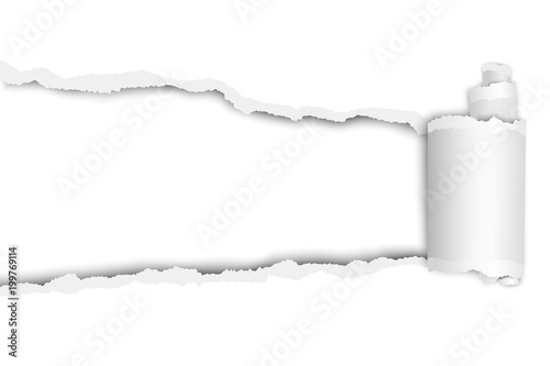 Torn long hole in white sheet of paper with shadow and wrapped paper curl. Vector template paper design.
