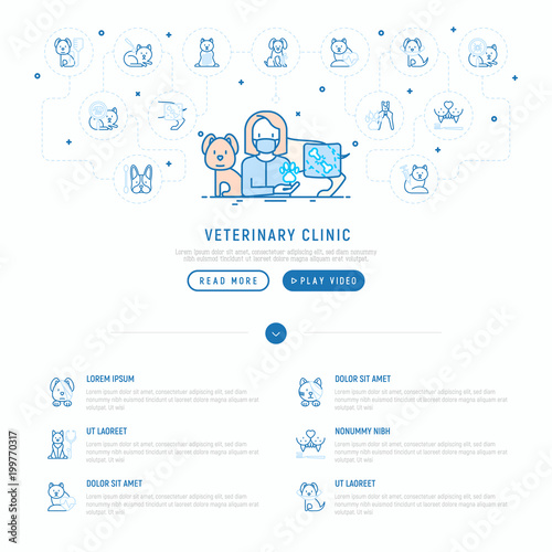 Veterinary clinic concept: dog with broken leg. Thin line icons: vaccination, injection, cardiology, cleaning of ears, teeth, shearing claws. Vector illustration, web page template.