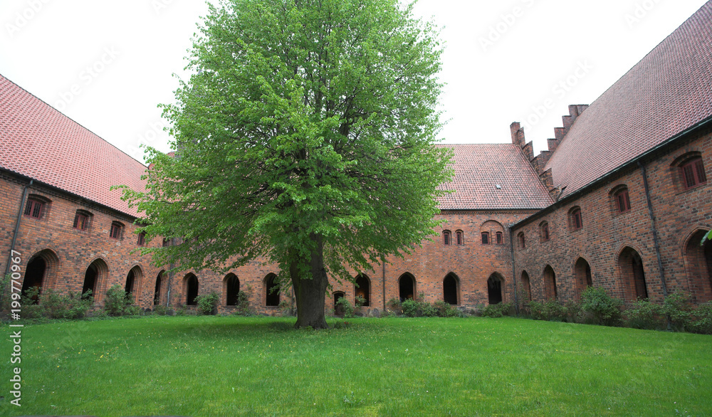  Vor Frue Monastery, a Carmelite monastery in Elsinore (Helsingør)