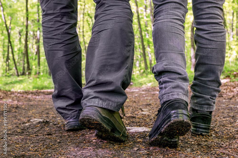 Travelers walking in the forest.