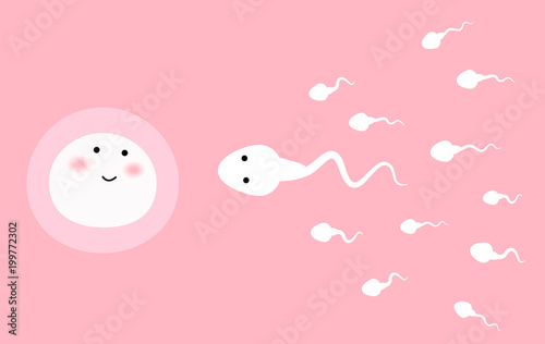 sperm and egg. vector illustration. photo
