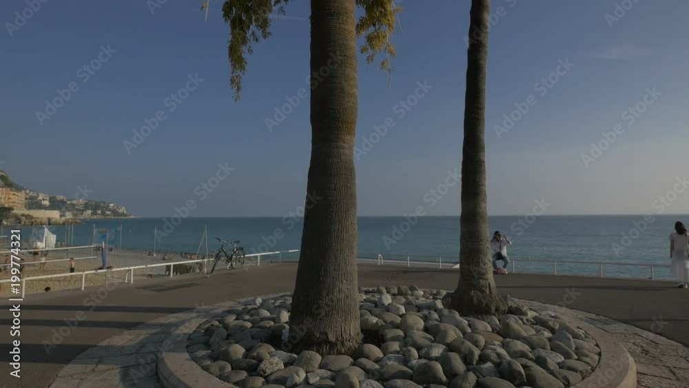 Palm trees on Promenade des Anglais in Nice