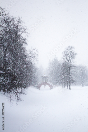 Krestovy Bridge by Russian architects Vasily Neyelov and his son Ilya spans the Krestovy Canal in the Alexander Park at winter. Pushkin (Tsarskoe Selo), Saint-Petersburg, Russia. photo