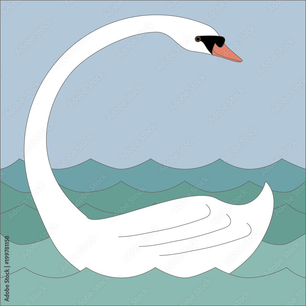 Obraz premium White swan with long neck on a water looking back.