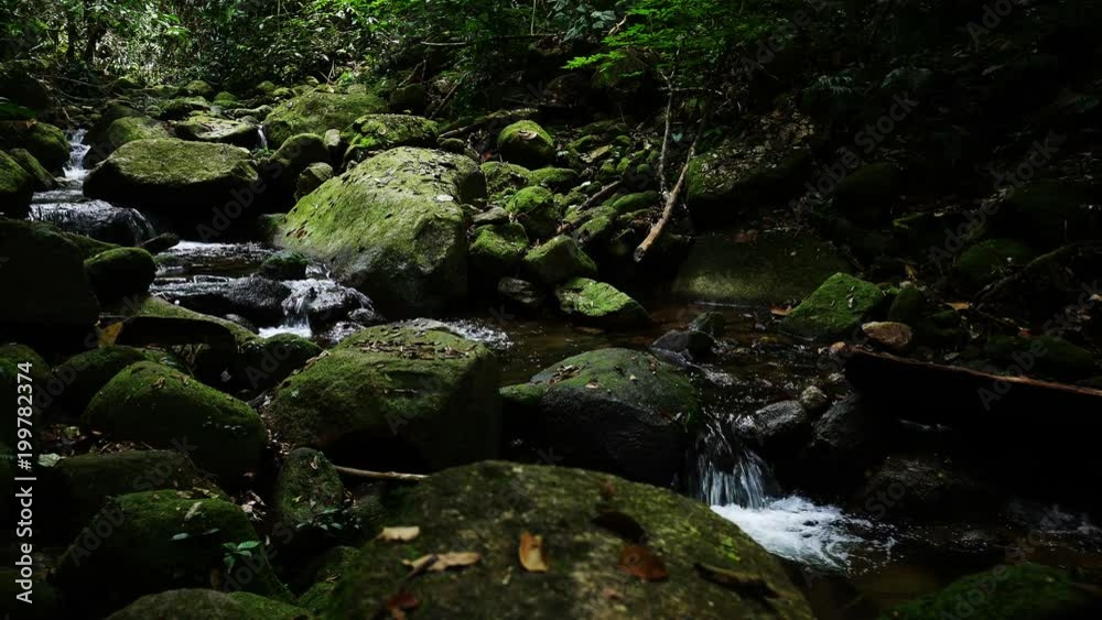 Stones and rocks covered by moss along water stream Stones and rocks covered by moss along water stream