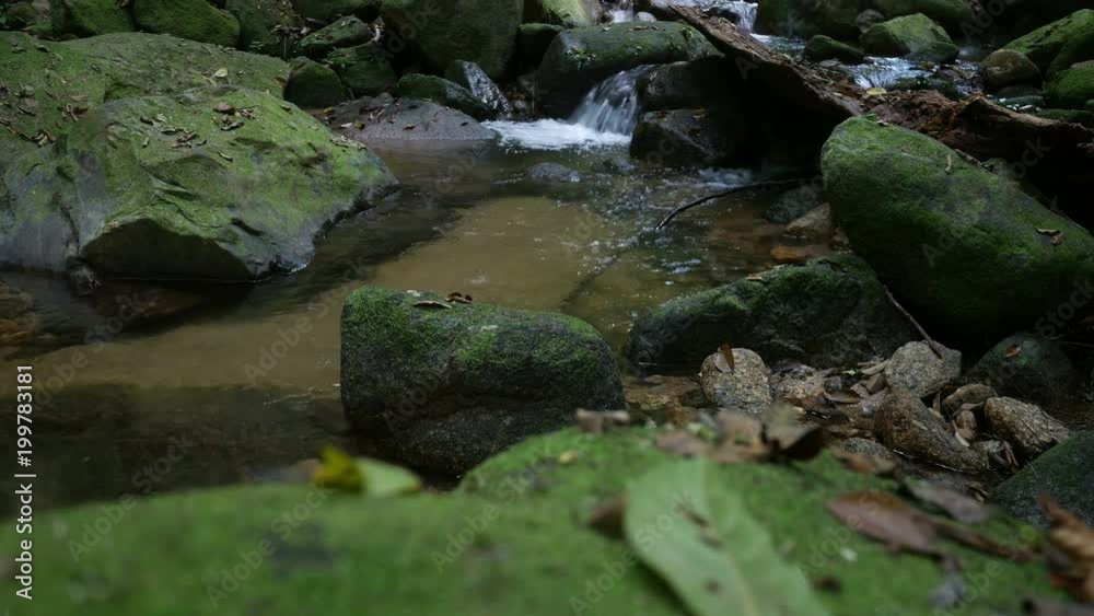 Stones and rocks covered by moss along water stream Stones and rocks covered by moss along water stream