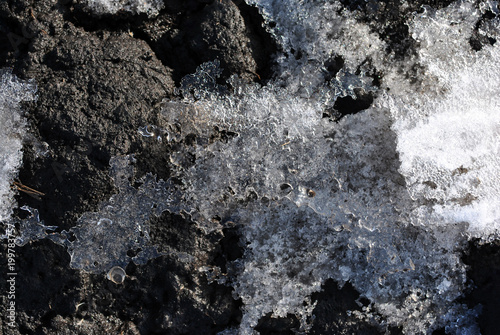 Melting snow background on dirty ground © ArtoPhotoDesigno