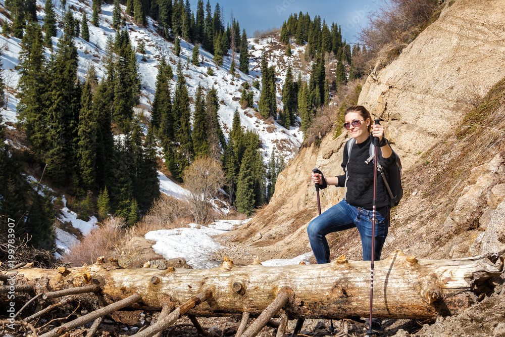 Naklejka premium young woman with walking sticks overcomes an obstacle - a fallen tree on a trail