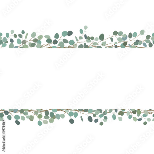 Elegant seamless borders of eucalyptus branches. Floral frame or greeting card. Vector