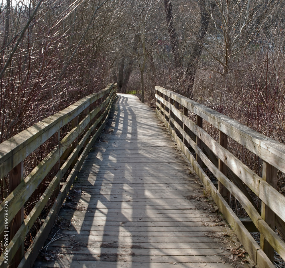 A wooden footpath in the spring in Frick Park, a city maintained park in Pittsburgh, Pennsylvania  