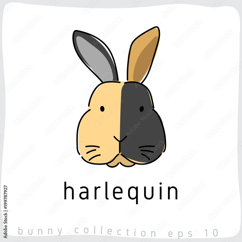 Harlequin : Rabbit Breed Collection : Vector Illustration Harlequin : Rabbit Breed Collection : Vector Illustration