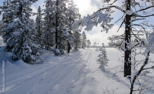 Ski tracks in Norway
