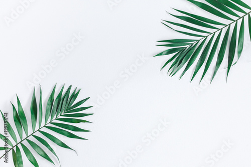 Leaf pattern. Green tropical leaves on gray background. Summer concept. Flat lay  top view  copy space